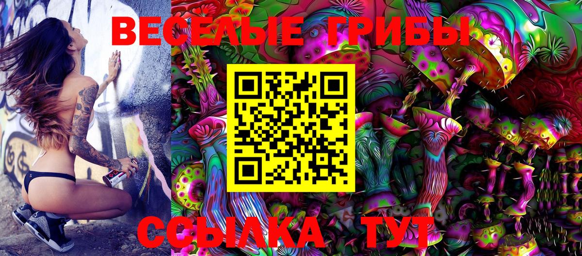 где купить   Вход с VPN  Елизово  Галлюциногенные грибы MAGIC MUSHROOMS 