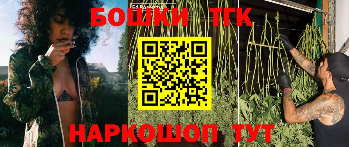 Каннабис сатива Елизово